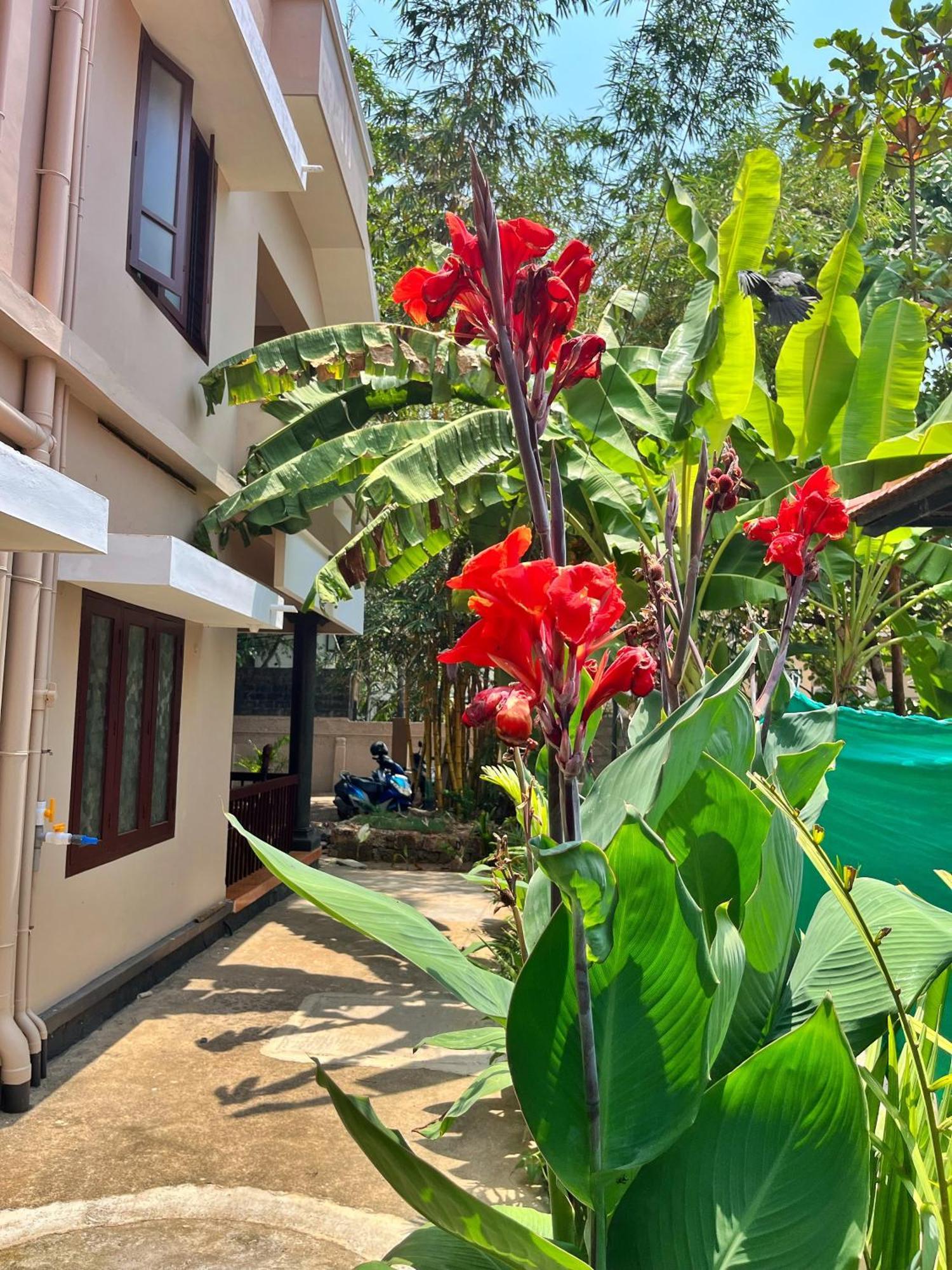 Bava Beach Resort & Retreat Center Varkala Extérieur photo